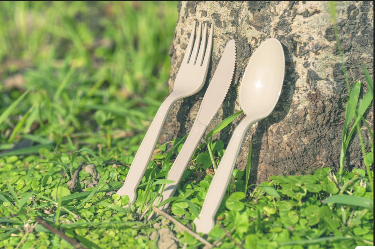 Tea Fiber Spoon, Fork, Knife